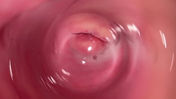 video from inside the vagina