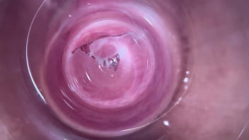 inserting head in vagina
