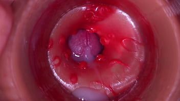 sex inside vagina camera