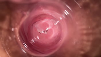 camera inside pussy