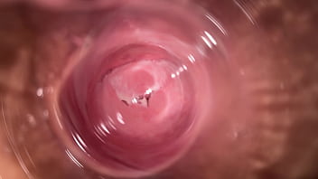 sex inside vagina camera