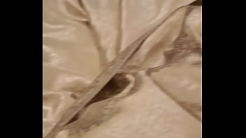 dog and female sex video