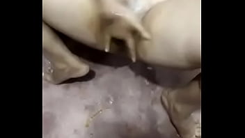 indian home made xxx videos