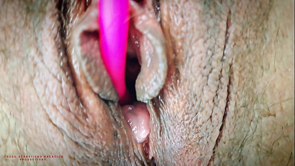 free full horse porn movies