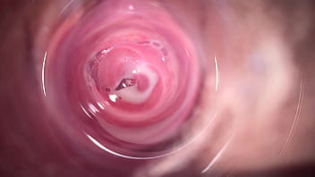 camera inside vagina during