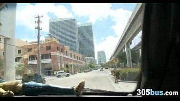free full horse porn movies