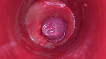 inside of a boob