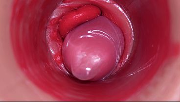 camera inside the vagina porn